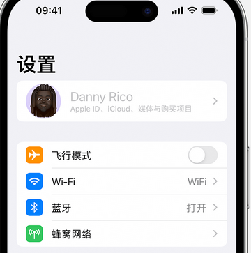 盐津appleID维修服务iPhone设置中Apple ID显示为灰色无法使用 