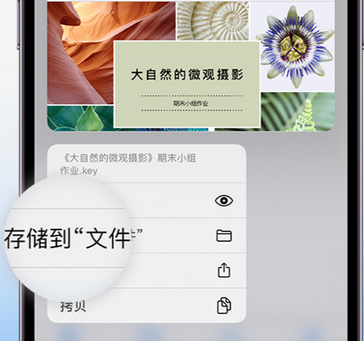 盐津apple维修中心分享iPhone文件应用中存储和找到下载文件