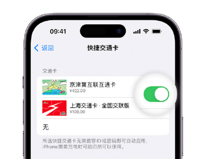 盐津apple维修点分享iPhone上更换Apple Pay快捷交通卡手绘卡面 