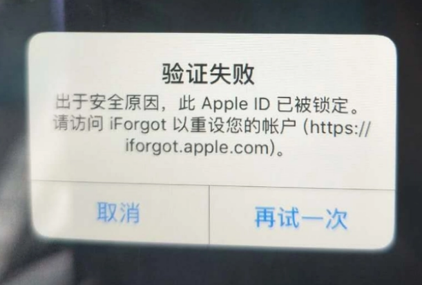 盐津iPhone维修分享iPhone上正常登录或使用AppleID怎么办 