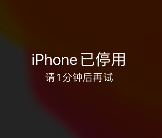 盐津苹果手机维修分享:iPhone 显示“不可用”或“已停用”怎么办？还能保留数据吗？ 