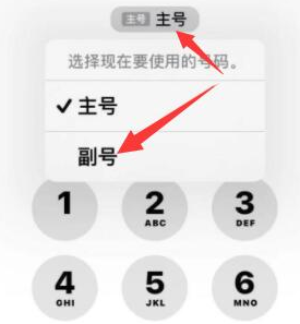 盐津苹果14维修店分享iPhone 14 Pro Max使用副卡打电话的方法 