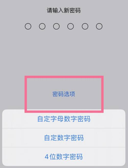 盐津苹果14维修分享iPhone 14plus设置密码的方法 