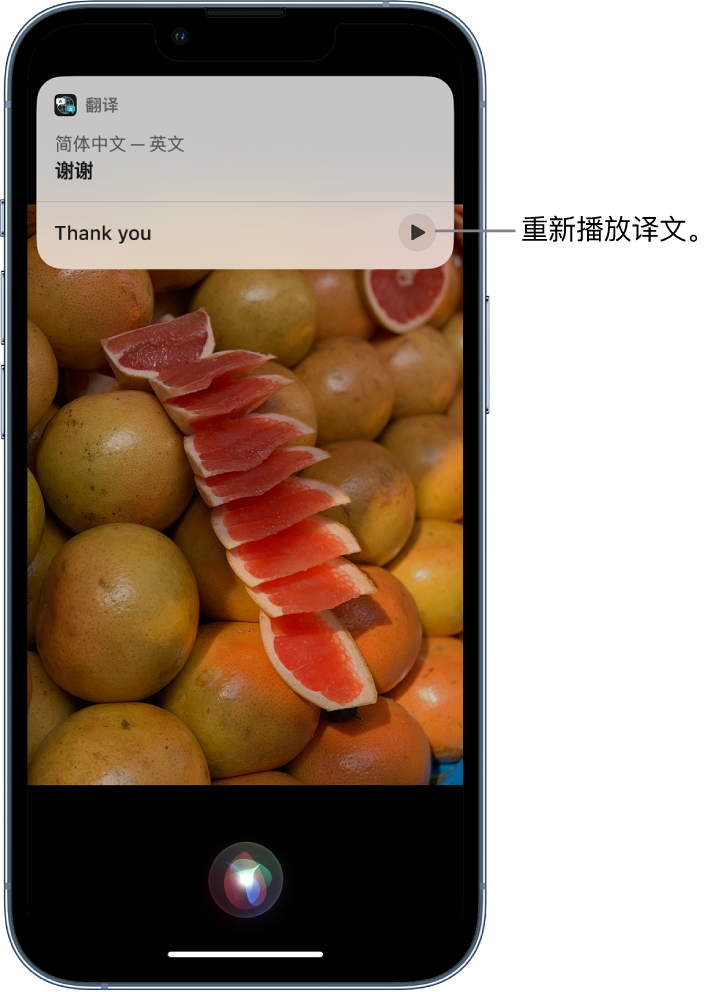 盐津苹果14维修分享 iPhone 14 机型中使用 Siri：了解 Siri 能帮你做什么 