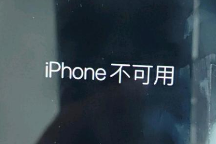 盐津苹果服务网点分享锁屏界面显示“iPhone 不可用”如何解决 