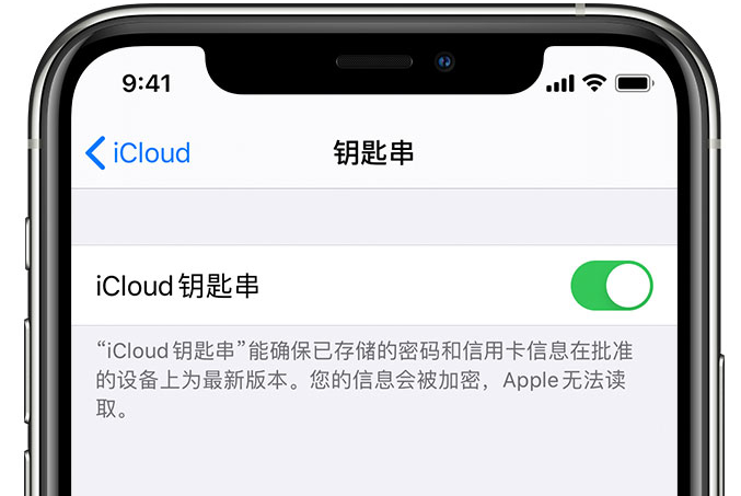 盐津苹果手机维修分享在 iPhone 上开启 iCloud 钥匙串之后会储存哪些信息 