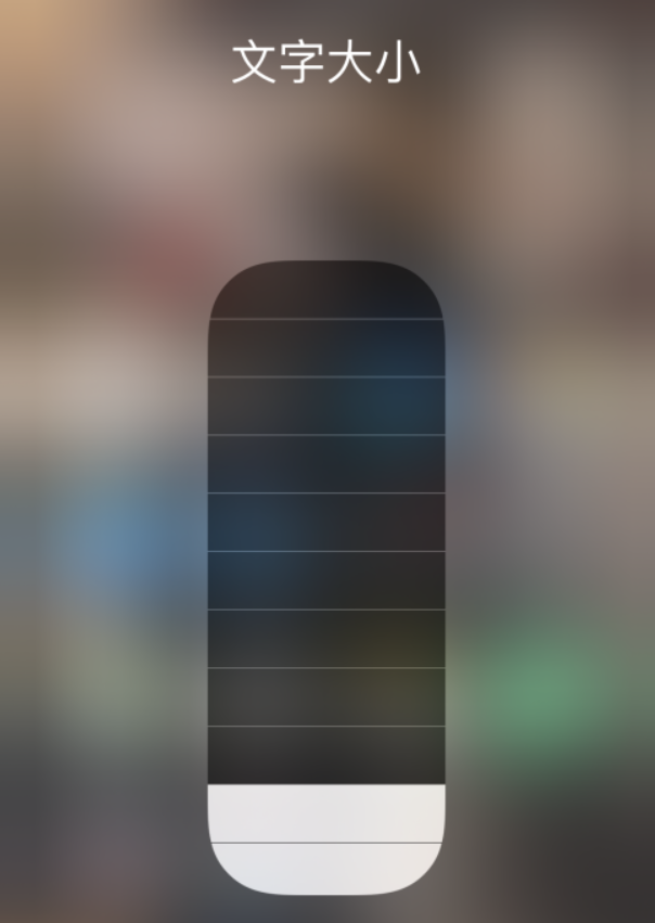 盐津苹果手机维修分享小技巧：在 iPhone 控制中心快速调节字体大小 