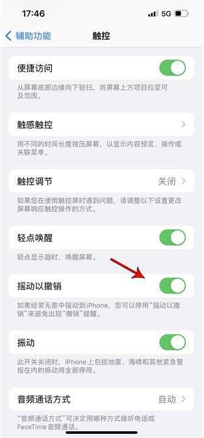 盐津苹果手机维修分享iPhone手机如何设置摇一摇删除文字 