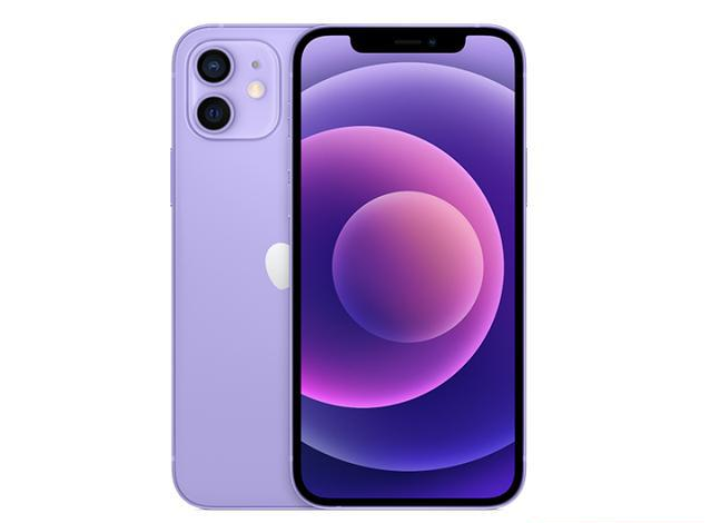 盐津苹果手机维修分享现阶段要不要入手紫色版iPhone12 