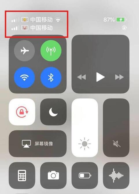 盐津苹果手机维修分享为 iPhone 12 双卡设置标签 