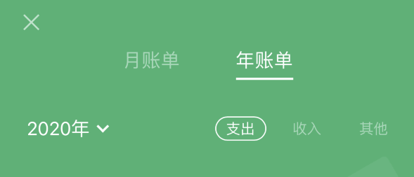 盐津苹果手机维修分享如何在 iPhone 上查看支付宝和微信年支出账单 
